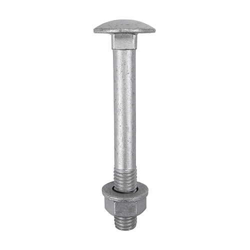 M8 x 150 Carriage Bolt Exterior - SO