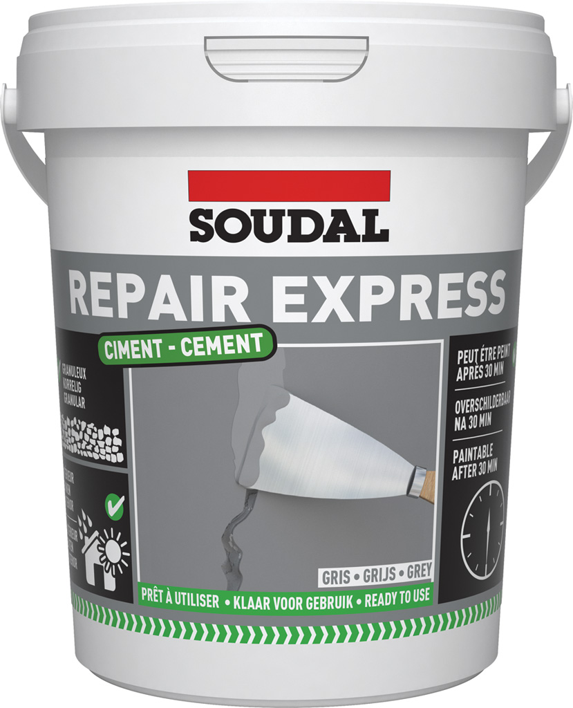 REPAIR EXPRESS CEMENT GREY 900ML