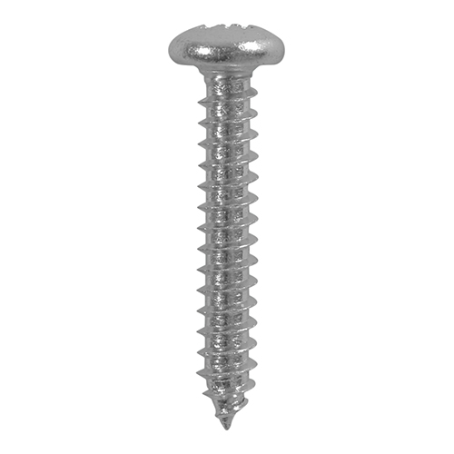 4.2 x 19 Self-Tapping Screw PAN - S/Steel