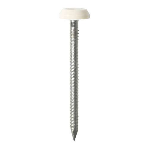 40mm Polymer Headed Nail - White