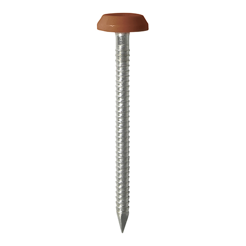 50mm Polymer Headed Nail - C Brown
