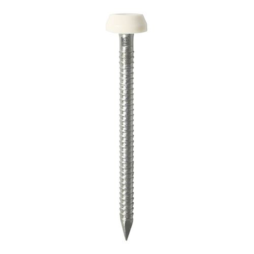 25mm Polymer Headed Pin - White