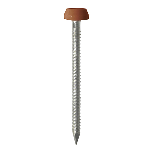 30mm Polymer Headed Pin - C Brown